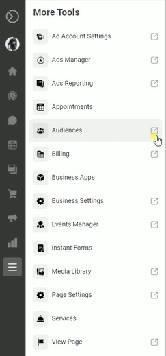 click the More Tools Icon and click Audiences