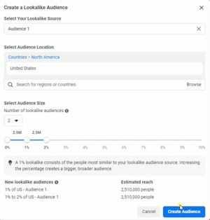 create a lookalike audience