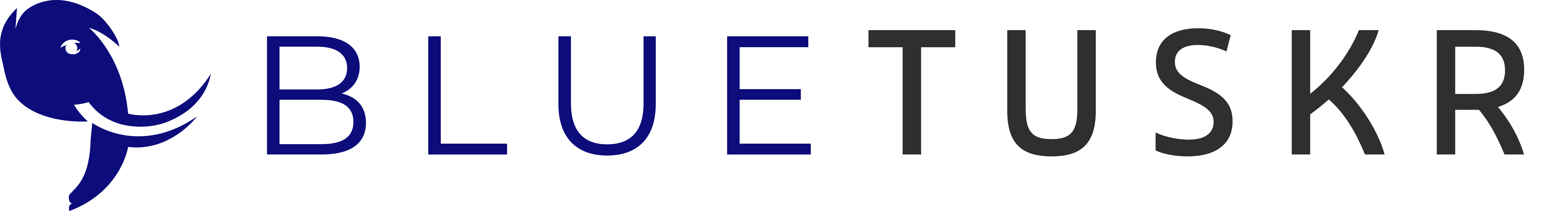 BlueTuskr_Logo_2021V2_Horizontal-3