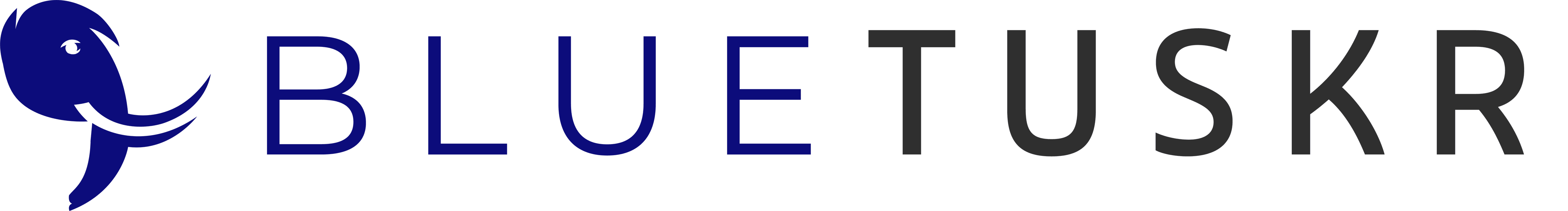 BlueTuskr_Logo_2021V2_Horizontal-3