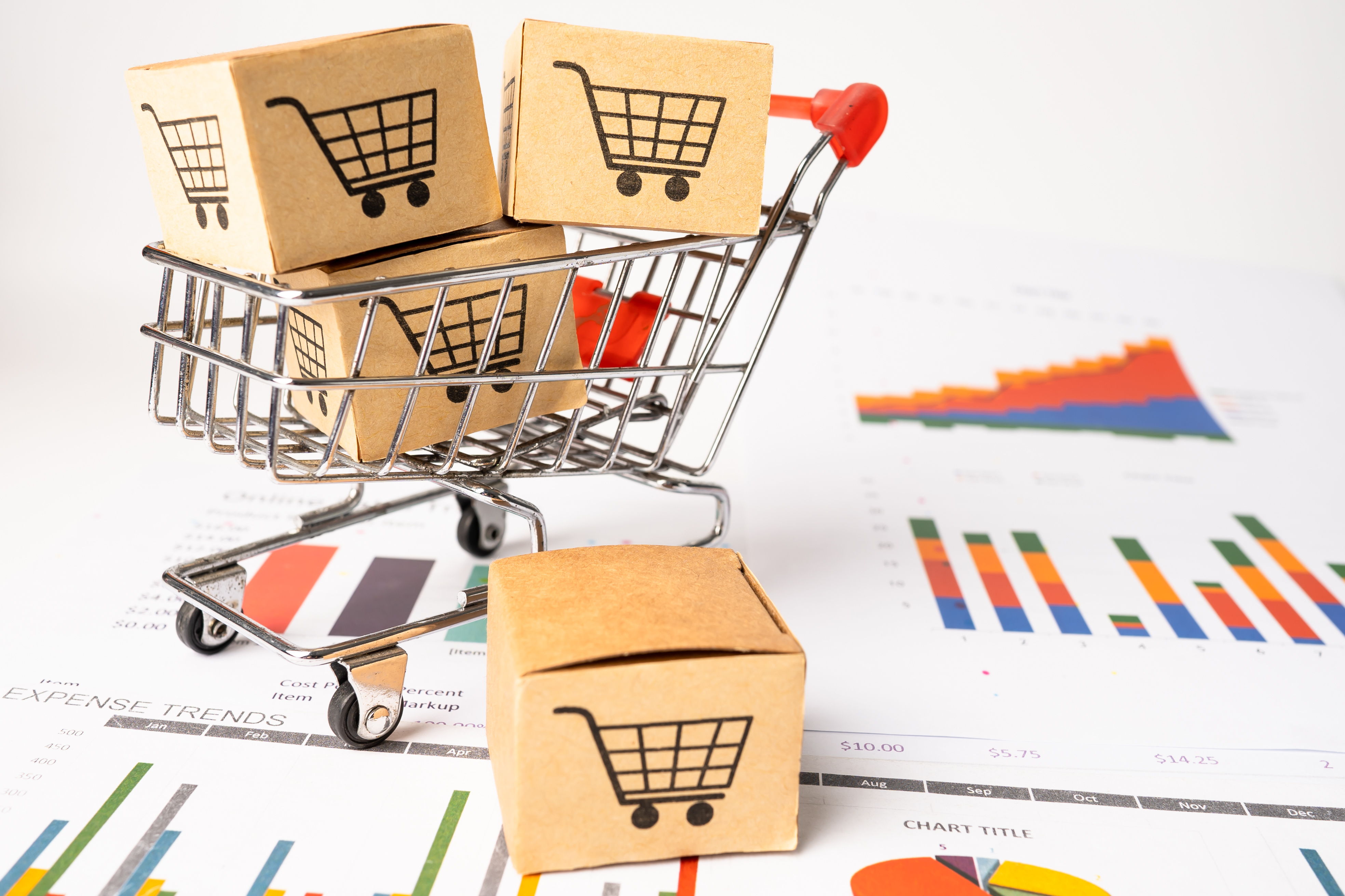 A Comprehensive Guide to Ecommerce Digital Marketing Services: How to Grow Your Online Store